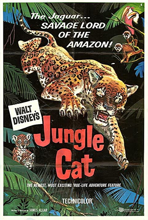 O Gato da Floresta<br><small>Jungle Cat (1960)</small>
