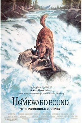 Homeward Bound - The Incredible Journey