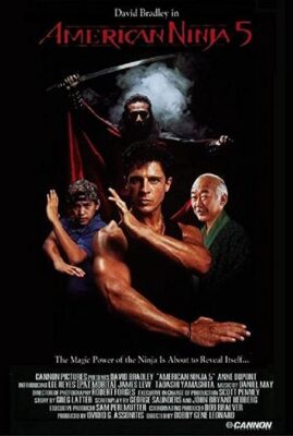 American Ninja 5