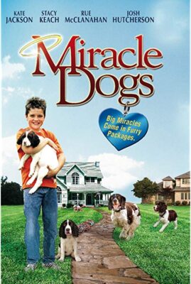 Miracle Dogs