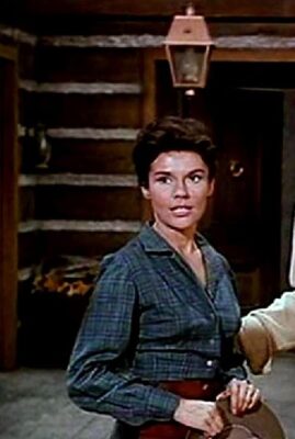 Bonanza - The Mill