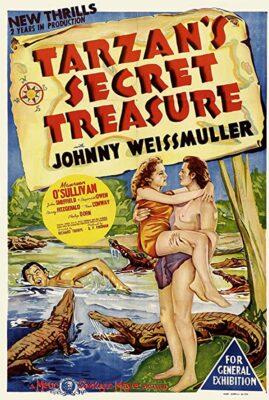 Tarzan's Secret Treasure