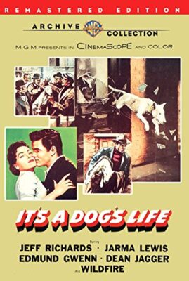 It?s a dog?s life