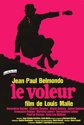 Le Voleur