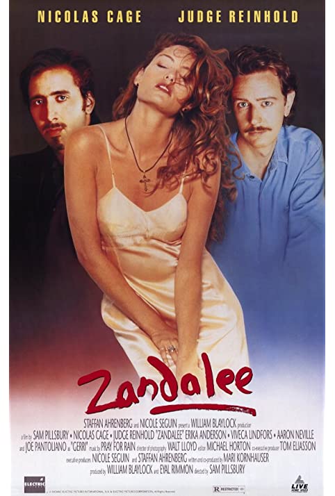 Zandalee - Uma Mulher Para Dois Homens<br><small>Zandalee (1991)</small>