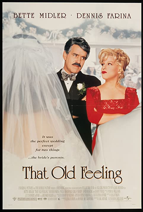 A Guerra dos Sexos<br><small>That Old Feeling (1997)</small>