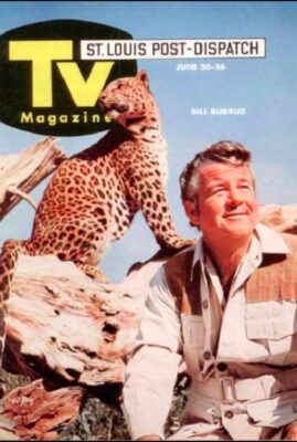The Animal World