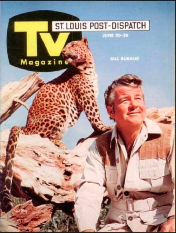 O Mundo Animal<br><small>The Animal World (1968)</small>