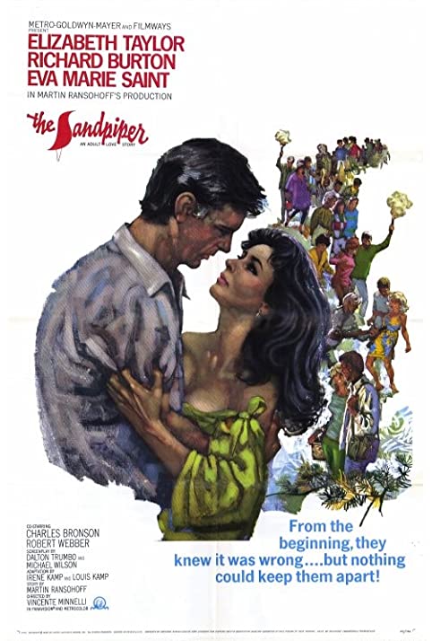 Adeus às Ilusões<br><small>The Sandpiper (1965)</small>