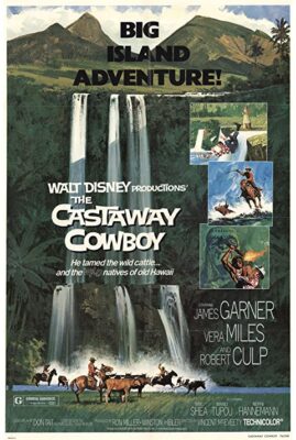 The Castaway Cowboy