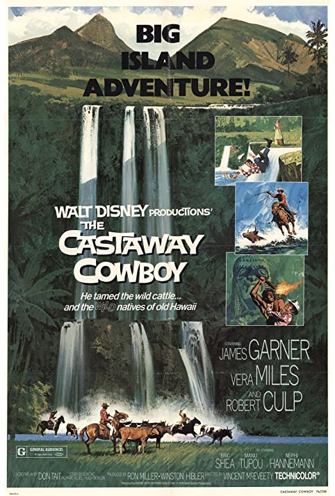 Um Cowboy no Hawaí<br><small>The Castaway Cowboy (1974)</small>