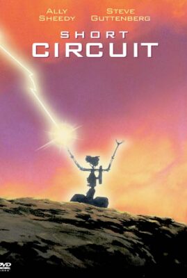Short Circuit I