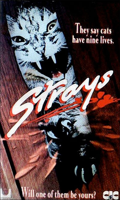 Instinto Assassino<br><small>Strays (1991)</small>