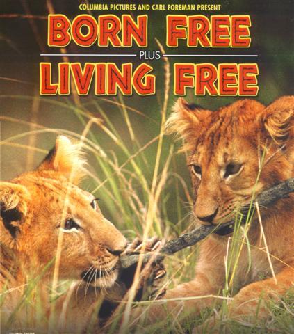 Vivendo Livremente<br><small>Living Free (1972)</small>