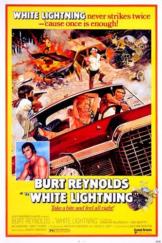 Sob o Signo da Vingança<br><small>White Lightning (1973)</small>