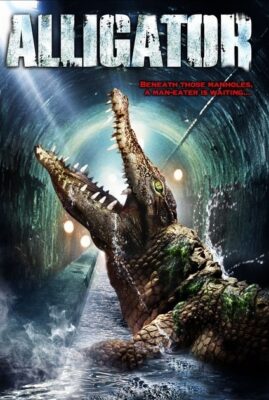 Alligator