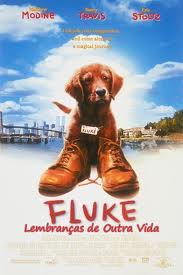 Fluke