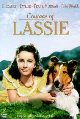Courage of Lassie