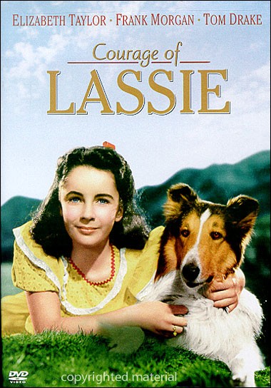 A Coragem de Lassie<br><small>Courage of Lassie (1946)</small>