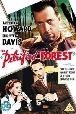 The Petrified Forest