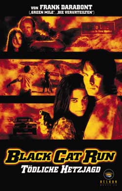 Black Cat Run