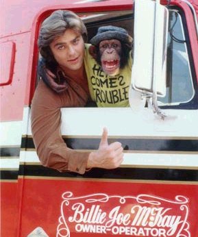 As Aventuras de B.J.<br><small>Bj and the Bear (1979)</small>