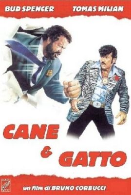 Cane e Gatto