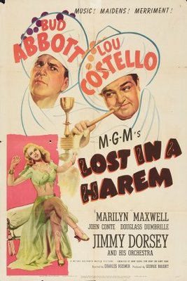 Lost in a Harem