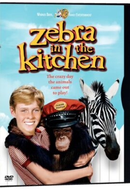 Zebra in the Kitchen