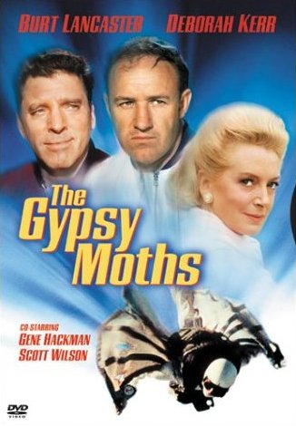 Os Paraquedistas Estão Chegando<br><small>The Gypsy Moths (1969)</small>