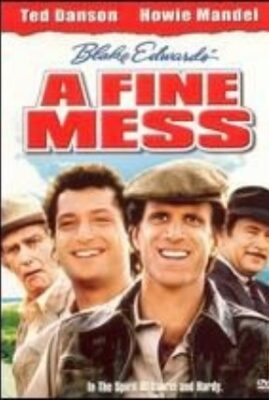 A Fine Mess