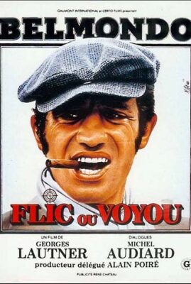 Flic ou Voyou