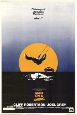 Man on a Swing