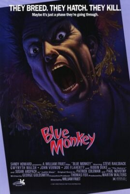 Blue Monkey