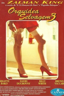 Red Shoe Diaries
