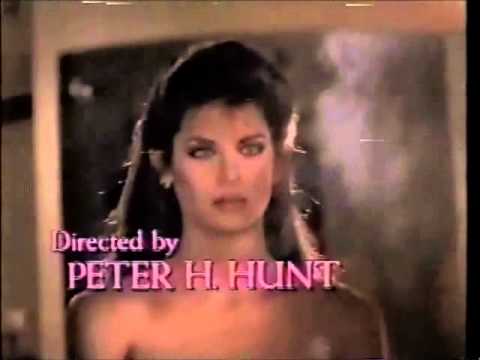 Marcas do Passado<br><small>Sins of the Past (1984)</small>