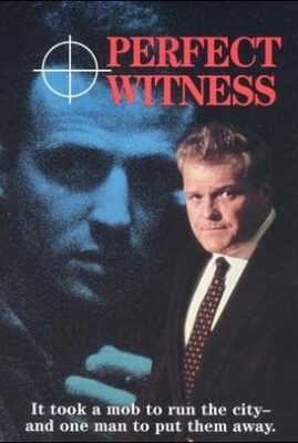 Perfect Witness