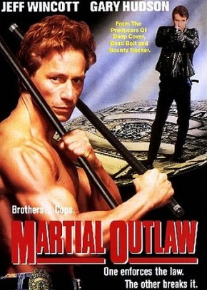 Reencontro Mortal<br><small>Martial Outlaw (1993)</small>