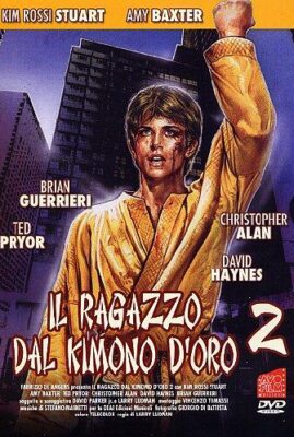 Karate Warrior 2
