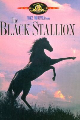 The Black Stallion