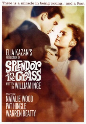 Clamor do Sexo<br><small>Splendor in the Grass (1961)</small>