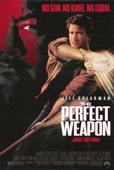 A Arma Perfeita<br><small>The Perfect Weapon (1991)</small>