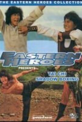 Tai Chi Shadow Boxing