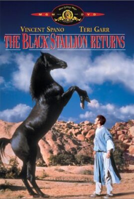The Black Stallion Returns