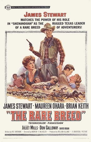 Raça Brava<br><small>The Rare Breed (1966)</small>