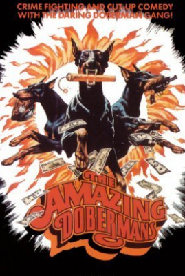 The Amazing Dobermans