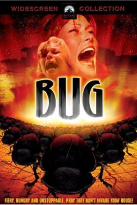 Bug