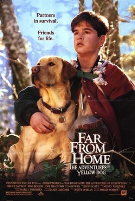 Far from home: The Adventures of Yellow dog