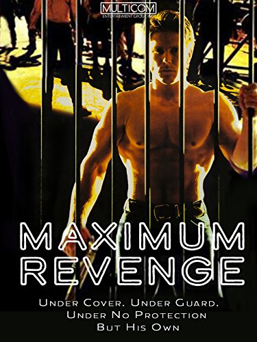 Segurança Máxima<br><small>Maximum Revenge (1998)</small>