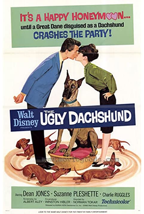 Um Amor de Companheiro<br><small>The Ugly Dachshund (1966)</small>
